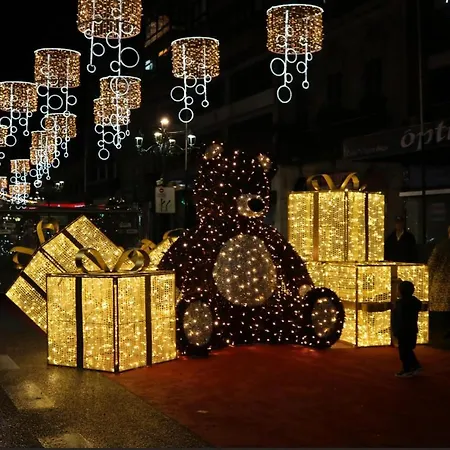 Acogedor ático En El Centro De O *
